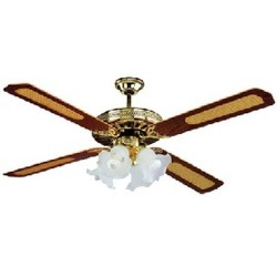 DCG DCG Eltronic VECRD53 Ventilatore a pale da tetto colore Marrone Giallo