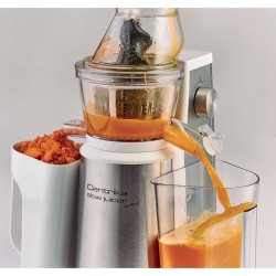 ARIE Ariete Centrika Slow Juicer Metal 0177/10 Estrattore Di Succo Reverse Mode 400W