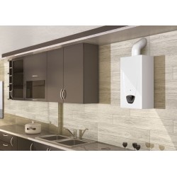 Ariston Fast Evo X 11 GPL Scaldabagno Sistema per caldaia singola Bianco - 3632388